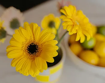 Office photo of Harpe Makelaardij