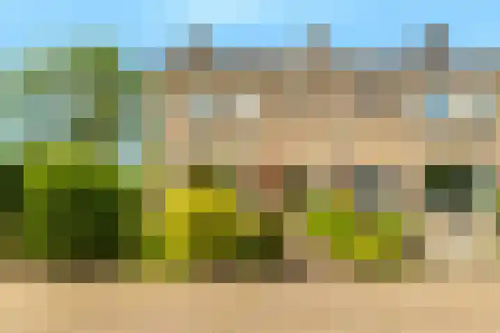 Harpendel 8 en Koedijk