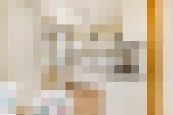 Harpendel 8 Koedijk thumbnail 10