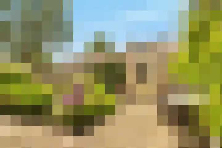 Harpendel 8 Koedijk thumbnail 12