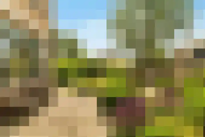 Harpendel 8 Koedijk thumbnail 13