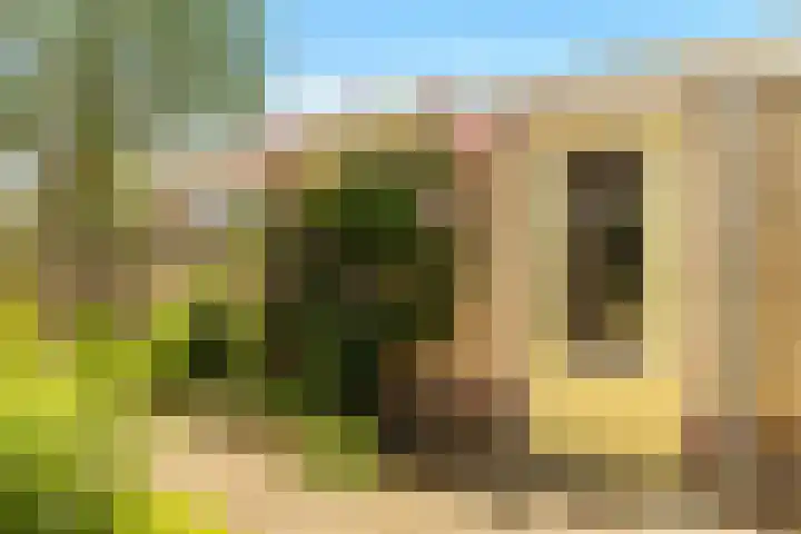 Harpendel 8 Koedijk thumbnail 14