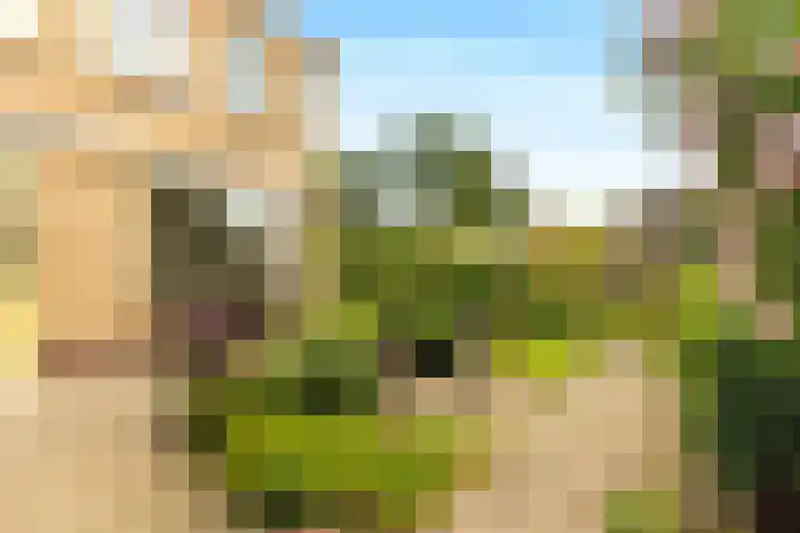 Harpendel 8 Koedijk thumbnail 15