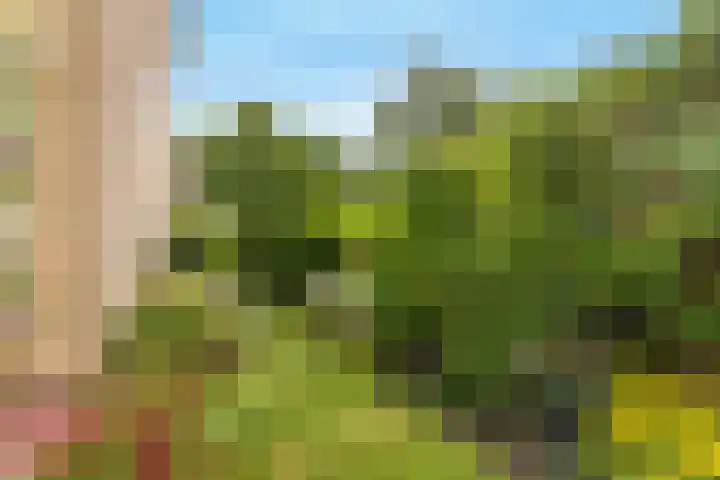 Harpendel 8 Koedijk thumbnail 16