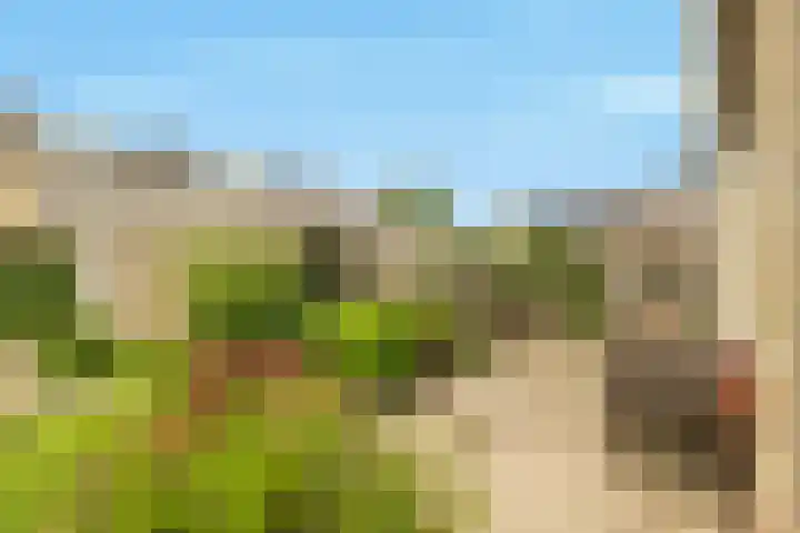 Harpendel 8 Koedijk thumbnail 17