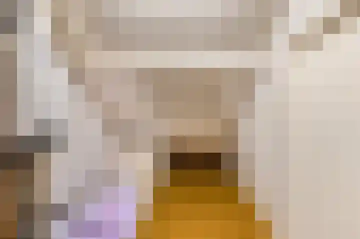 Harpendel 8 Koedijk thumbnail 26