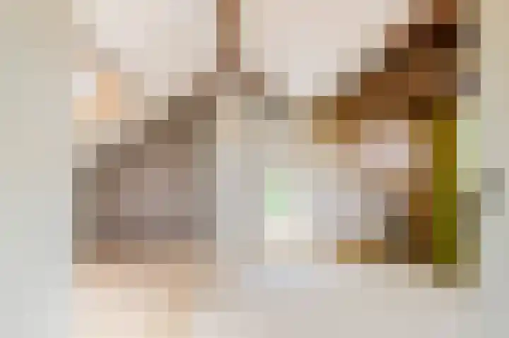 Harpendel 8 Koedijk thumbnail 27