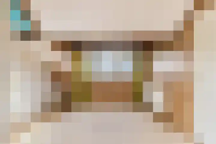 Harpendel 8 Koedijk thumbnail 28