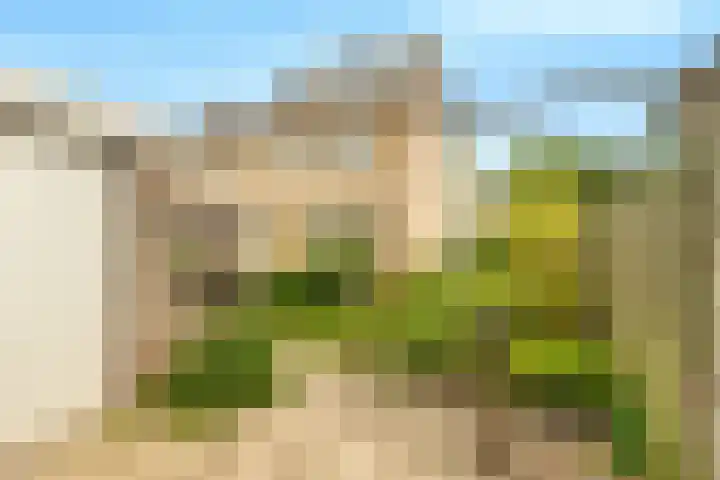 Harpendel 8 Koedijk foto 3