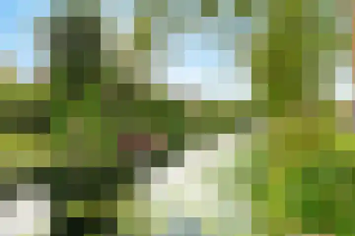 Harpendel 8 Koedijk thumbnail 32