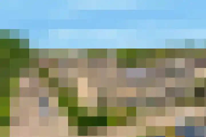 Harpendel 8 Koedijk thumbnail 4