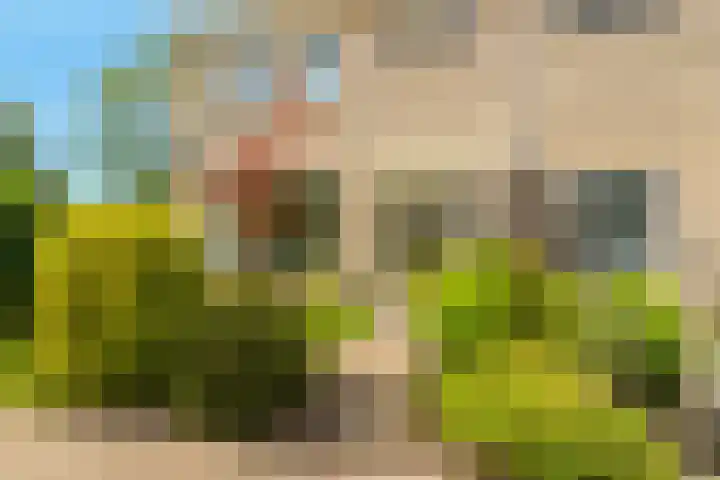 Harpendel 8 Koedijk thumbnail 5
