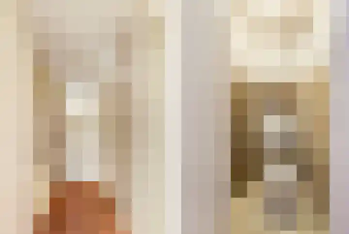 Harpendel 8 Koedijk thumbnail 6