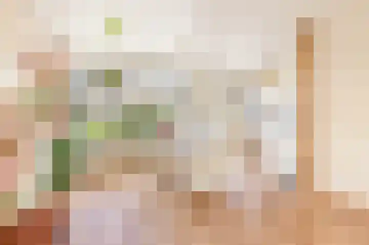 Harpendel 8 Koedijk thumbnail 9