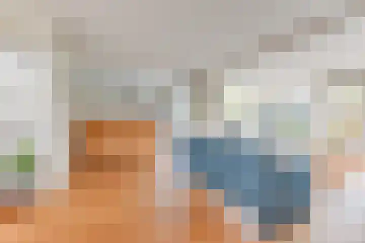Harpij 6 Heerhugowaard thumbnail 16