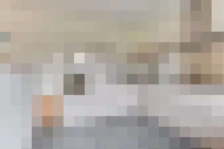Harpij 6 Heerhugowaard thumbnail 18