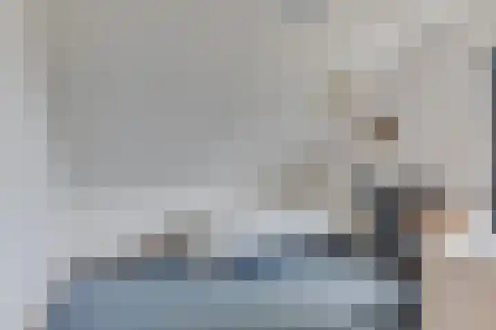 Harpij 6 Heerhugowaard thumbnail 23