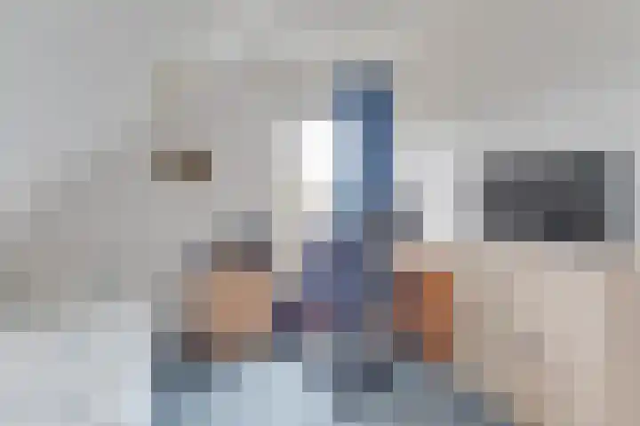 Harpij 6 Heerhugowaard thumbnail 24
