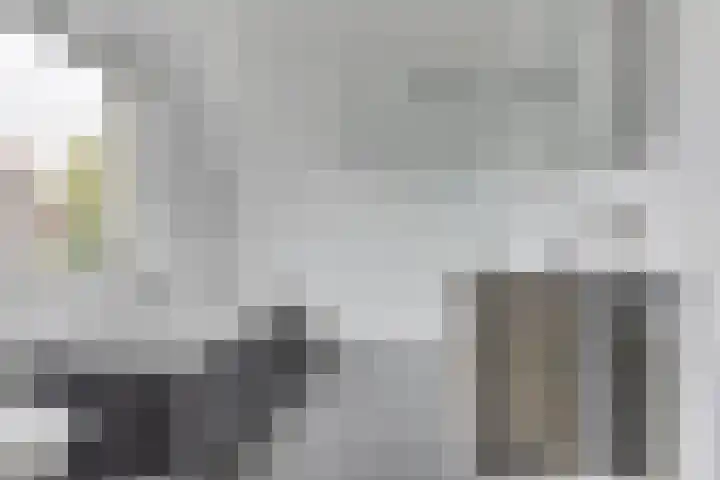 Harpij 6 Heerhugowaard thumbnail 27