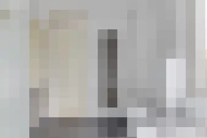Harpij 6 Heerhugowaard thumbnail 29