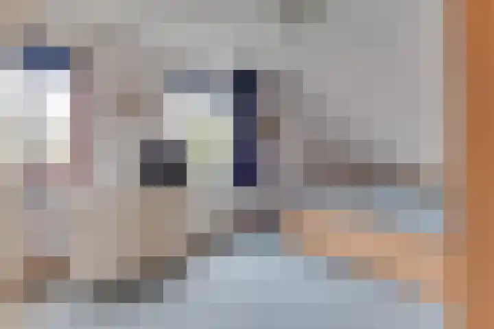 Harpij 6 Heerhugowaard thumbnail 35