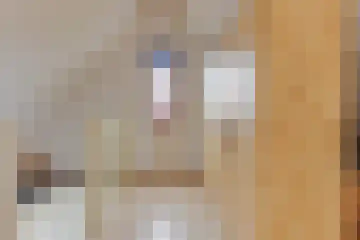 Harpij 6 Heerhugowaard thumbnail 39