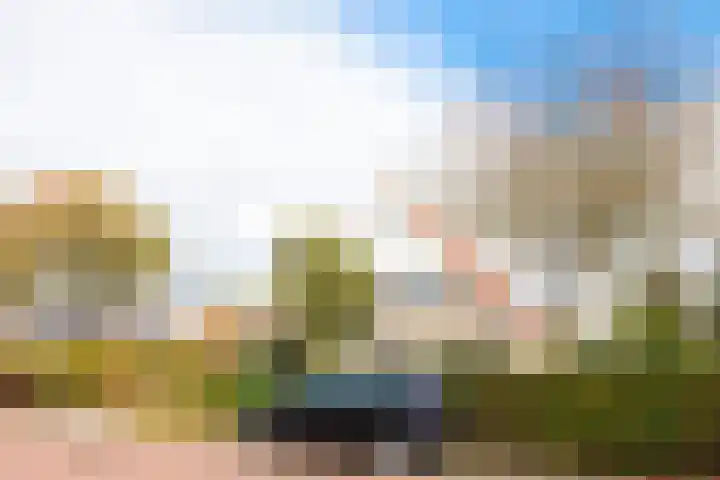 Harpij 6 Heerhugowaard thumbnail 4