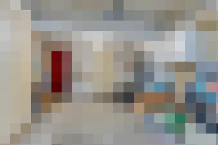 Harpij 6 Heerhugowaard thumbnail 45