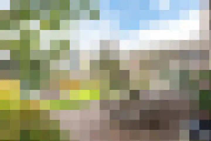Harpij 6 Heerhugowaard thumbnail 46