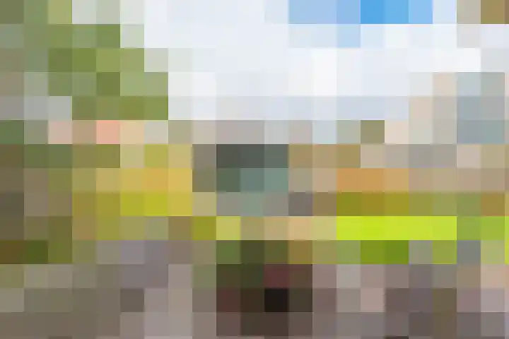 Harpij 6 Heerhugowaard thumbnail 47
