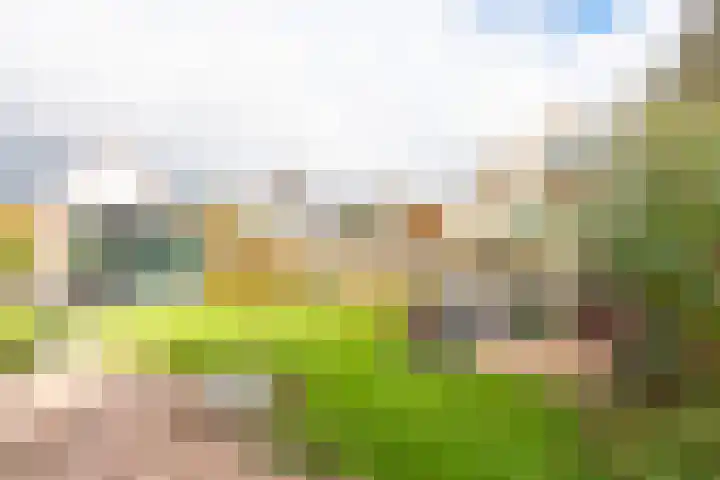Harpij 6 Heerhugowaard thumbnail 48