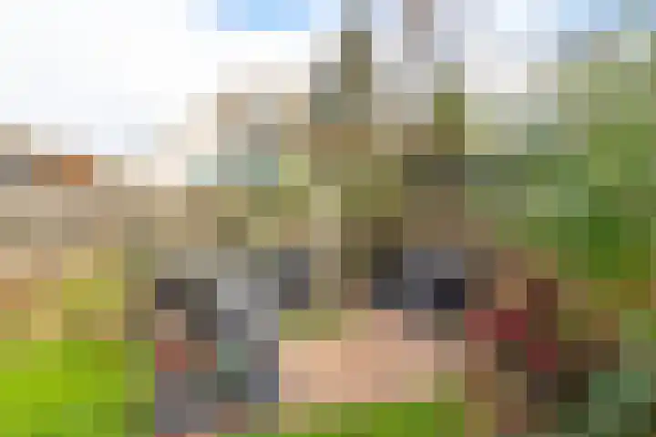 Harpij 6 Heerhugowaard thumbnail 49