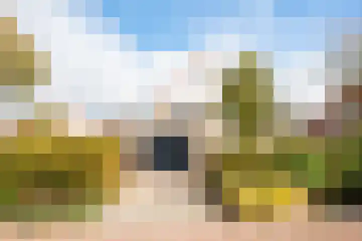 Harpij 6 Heerhugowaard thumbnail 5