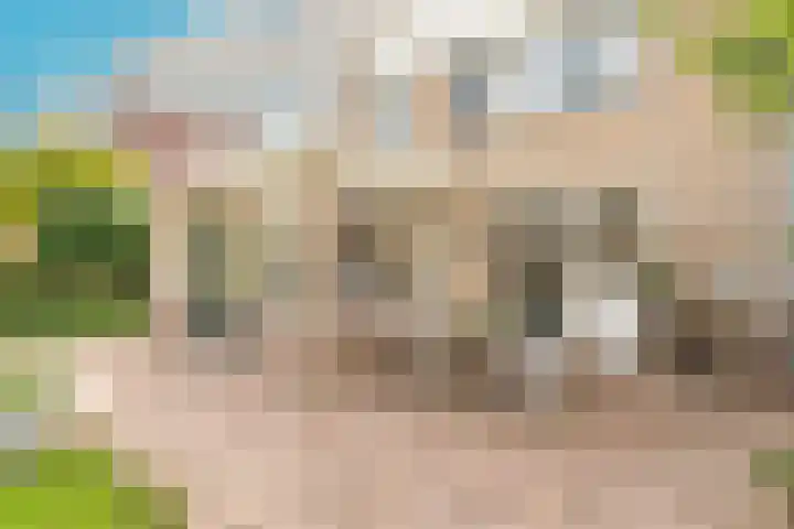 Harpij 6 Heerhugowaard thumbnail 50