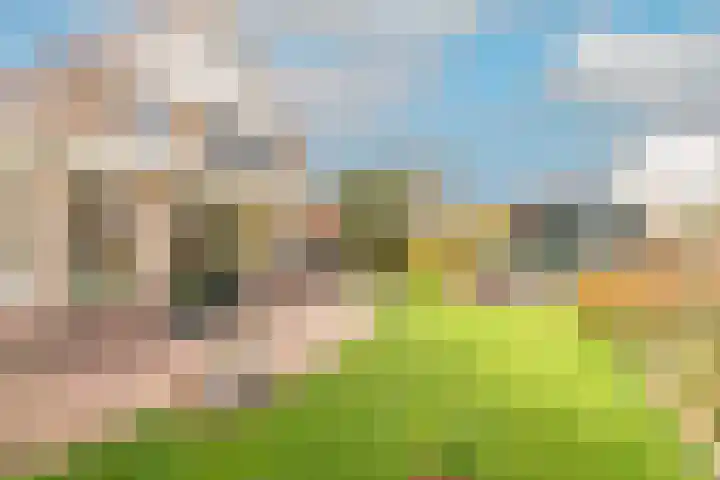 Harpij 6 Heerhugowaard thumbnail 51