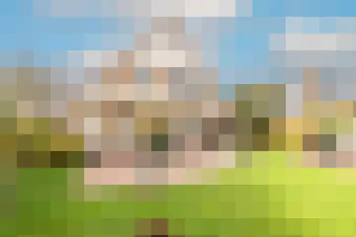Harpij 6 Heerhugowaard thumbnail 52