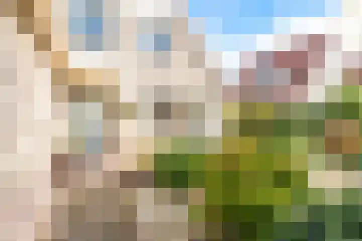 Harpij 6 Heerhugowaard thumbnail 6