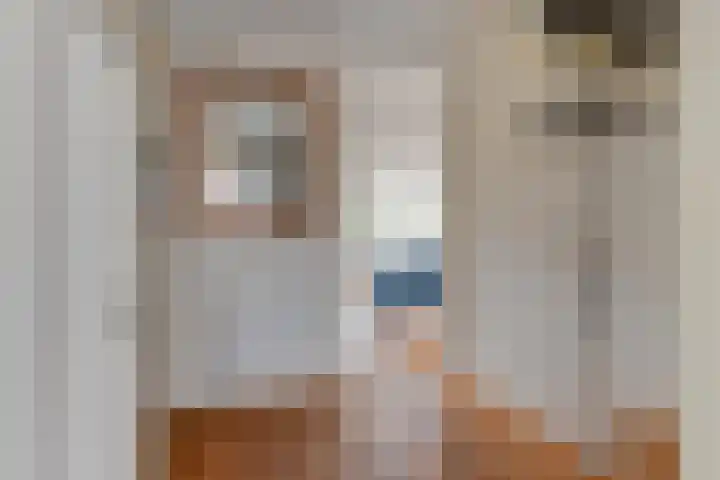 Harpij 6 Heerhugowaard thumbnail 9