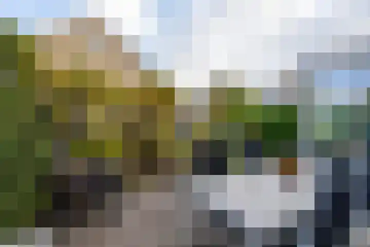 Harplaan 30 Barendrecht thumbnail 43