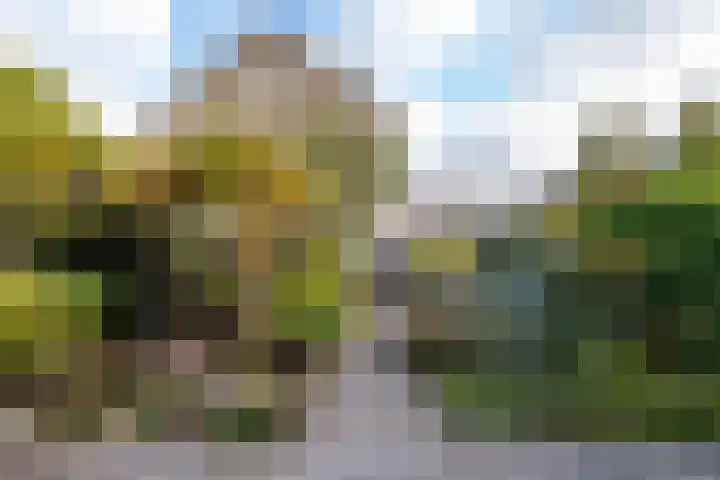 Harplaan 30 Barendrecht thumbnail 44