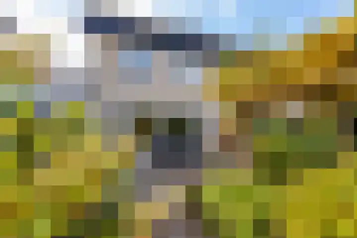 Harplaan 30 Barendrecht thumbnail 48