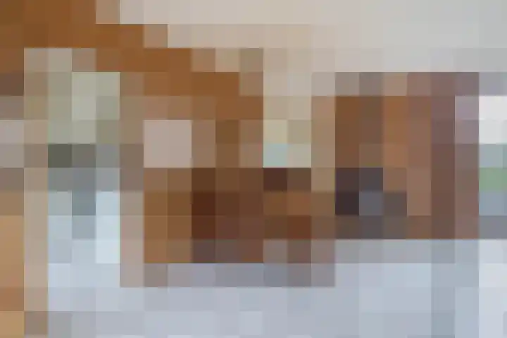 Harpoen 14 Krimpen aan de Lek thumbnail 17