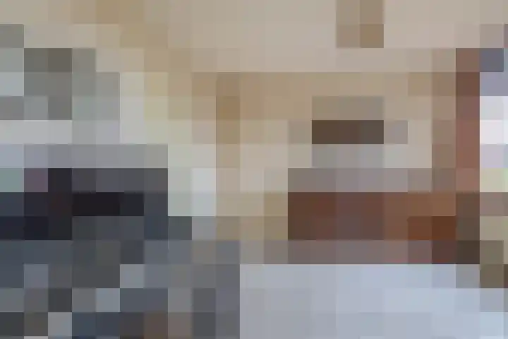 Harpoen 14 Krimpen aan de Lek thumbnail 18