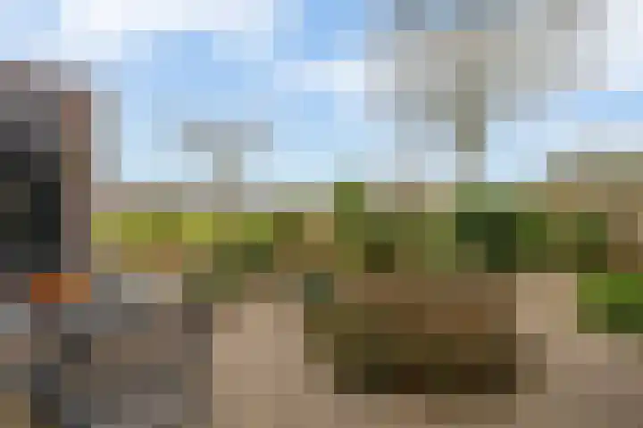 Harpoen 14 Krimpen aan de Lek foto 2