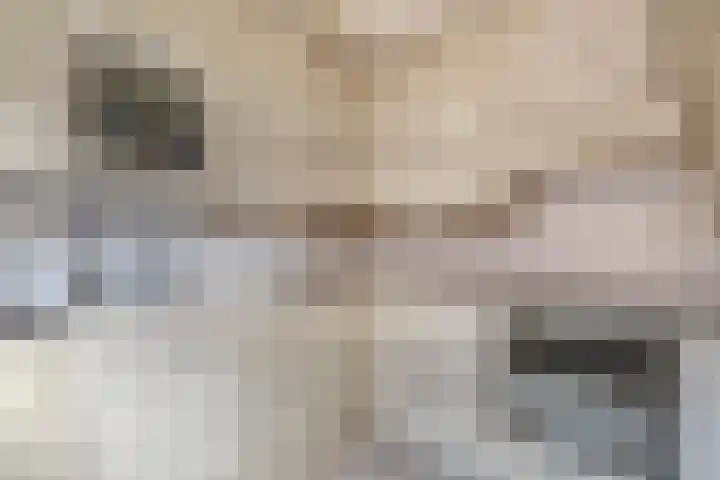 Harpoen 14 Krimpen aan de Lek thumbnail 21