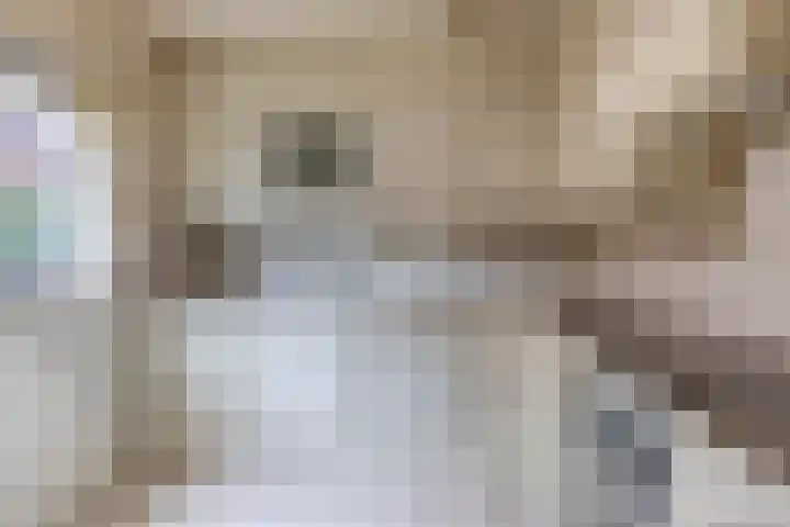 Harpoen 14 Krimpen aan de Lek thumbnail 22