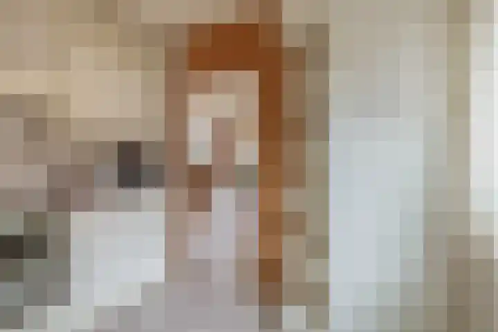 Harpoen 14 Krimpen aan de Lek thumbnail 23