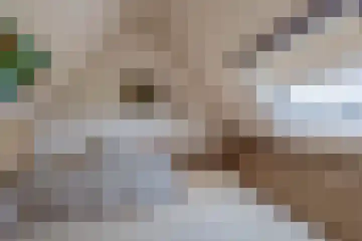Harpoen 14 Krimpen aan de Lek thumbnail 38