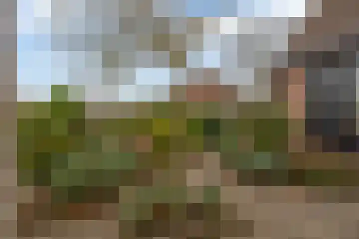 Harpoen 14 Krimpen aan de Lek thumbnail 41