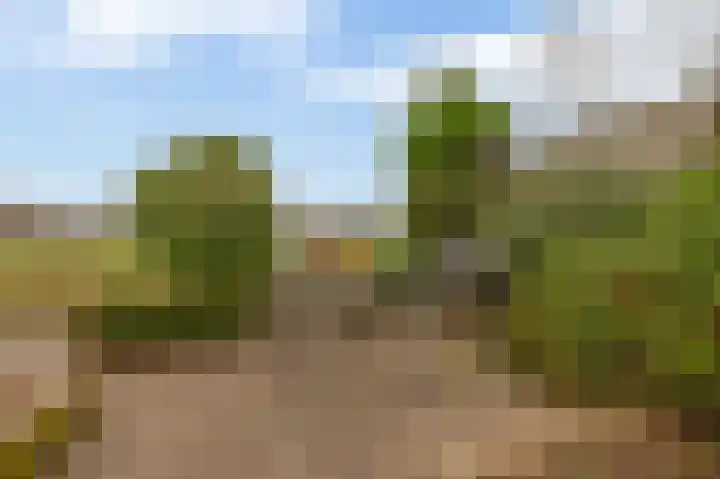Harpoen 14 Krimpen aan de Lek thumbnail 42